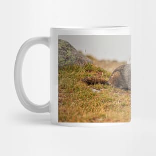 Hoary Marmot Mug